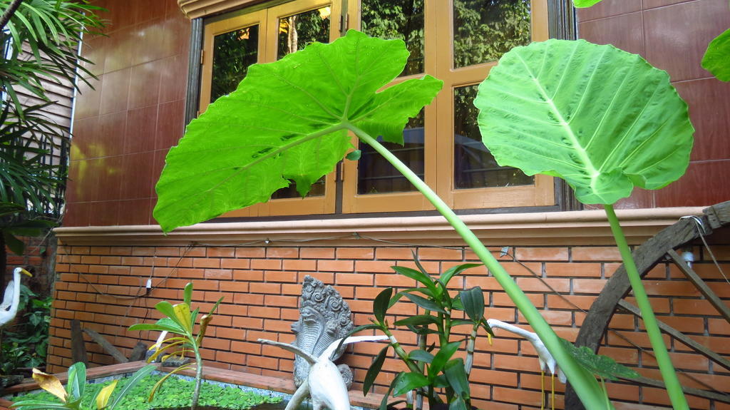 Big Lyna Villa Siem Reap Eksteriør bilde